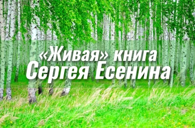 5773-logo