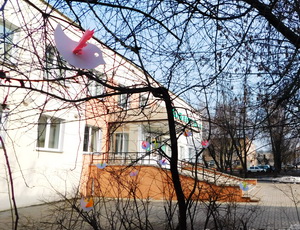 DSCN2112