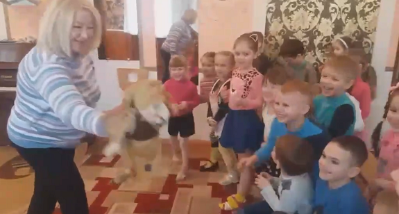 3 видео - 575