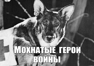 к3 2
