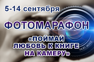 Для сайта 300