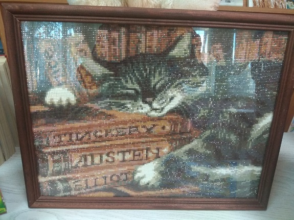 кот