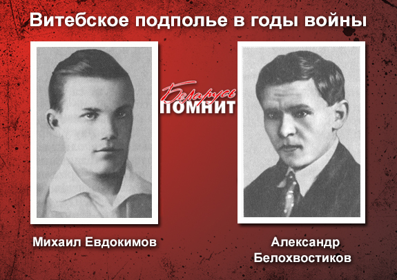 Евдокимов Белохвостиков