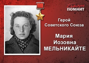 Мельникайте300